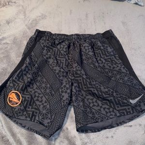 Nike Trail Shorts